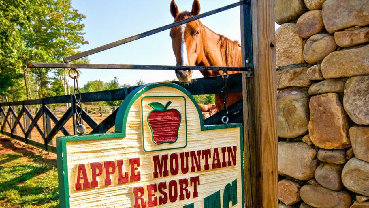 Holiday Inn Club Vacations Apple Mountain Resort At Clarkesville Buitenkant foto